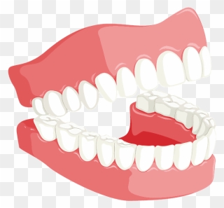 Teeth Dental Png, Hd Png Download - Teeth For Dentist Clipart