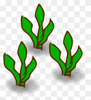 Transparent Family Leaf Plant Flower Clipart For People - Kelp Clipart - Png Download