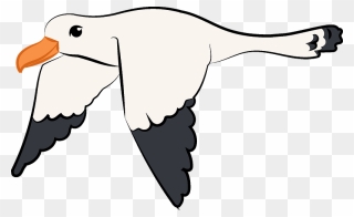 Flying Seagull Clipart - Png Download
