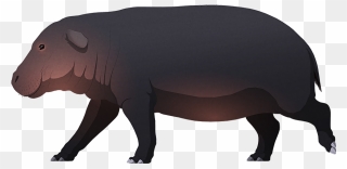 A Stylized Illustration Of An Extinct Dwarf Hippo - Hippopotamus Laloumena Clipart