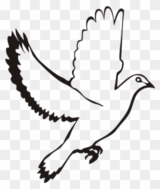 White Flying Dove Clipart - Clipart Flying Dove Png Transparent Png