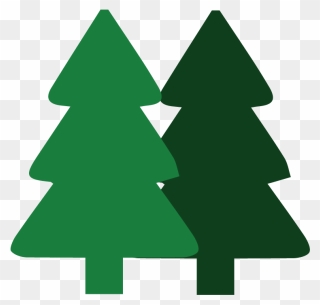 Wildcat Creek Tree Service Will Guid You Through The - Christmas Tree Clipart
