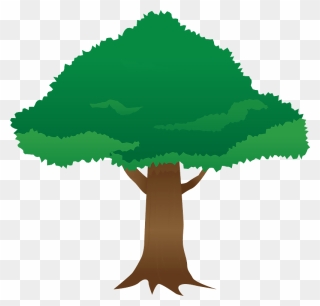 Tree Clipart - イラスト 大木 フリー 素材 - Png Download
