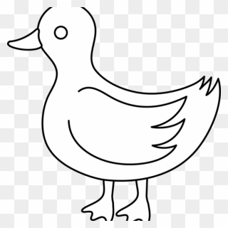 Duck Clipart Black And White - Outline Duck Wing Clipart - Png Download