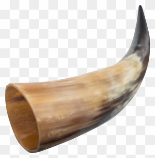 Viking Horn Transparent & Png Clipart Free Download - Viking Horn Png