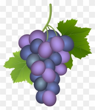 Purple Grape Png Clip Art Image Transparent Png