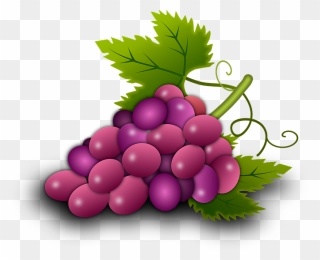 Illustration Grapes Vine Vineyard Wine - อ งุ่่ น Png Clipart
