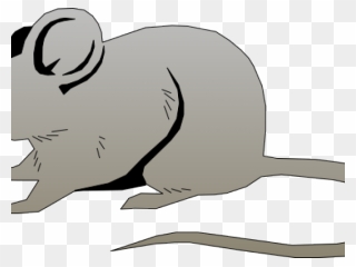 Cartoon Rat Pictures - Mouse Clipart - Png Download