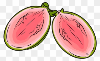 Guava Cut In Half Clipart - Half Clipart - Png Download