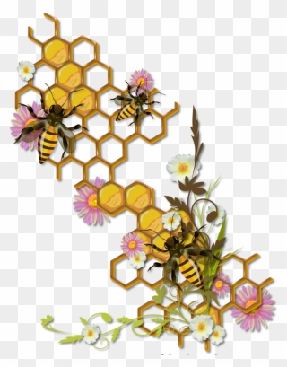 Honeycomb With Bees Drawing Clipart