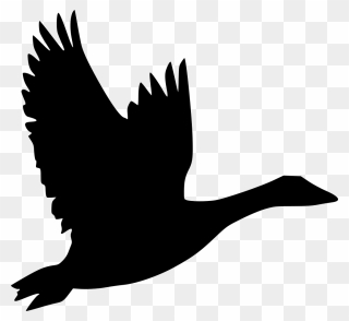 Bird Goose Flight Duck Clip Art - Goose Icon - Png Download