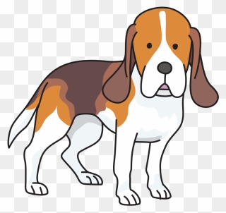Beagle Puppy Basset Hound Foxhound Clip Art - Beagle Clipart Png Transparent Png