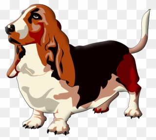 Transparent Dog Beagle Puppy Paw Clipart For Activities - Basset Hound - Png Download