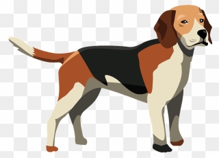 Beagle Clipart - Funny Dog Anatomy - Png Download