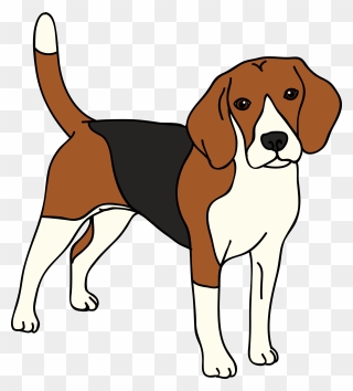 Beagle Vector Dog - Beagle Clipart Png Transparent Png