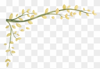 Twig Drawing Border - Border Leaves Design Drawing Clipart