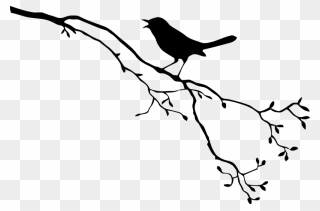 Bird Royalty-free Drawing - Bird On A Branch Silhouette Png Clipart