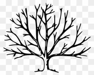 Tree Png Icons - Tree Branch Clipart Black And White Transparent Png