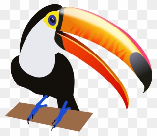 Drawing Of A Tropical Bird - Toucan Clipart Transparent Background - Png Download