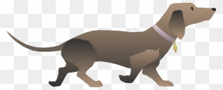 Dachshund Basset Hound Puppy Dog Walking Clip Art - Dachshund Vector Pixabay - Png Download