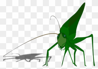 Cartoon Grasshopper With Shadow Png Icons - Grasshopper Clipart Transparent Png