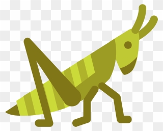 Grasshopper Clipart Pencil - Grashoper Logo - Png Download