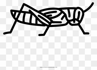 Grasshopper Coloring Page Clipart