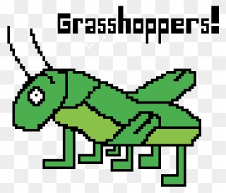Transparent Grasshopper Clipart - Cartoon - Png Download