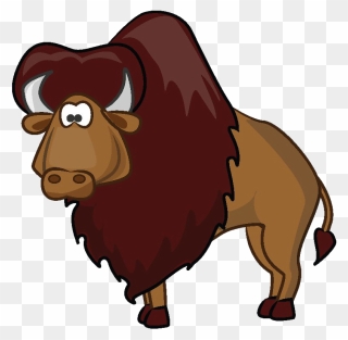 Bison Png Photo - Animals Clipart