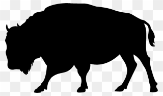 Vienna Lager - Buffalo Clip Art - Png Download