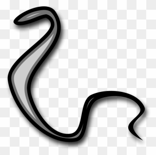 Snake Body Png Black And White Clipart