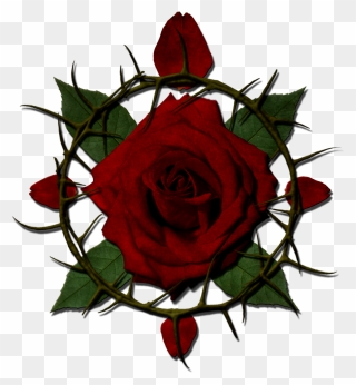 Rose And Thorns Png Clipart