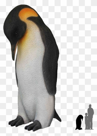 Emperor Penguin Clipart Leg - Emperor Penguin Transparent Background - Png Download