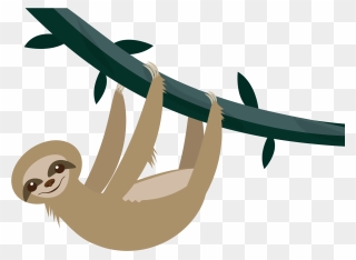 Sloth Png - Sloth Transparent Background Clipart