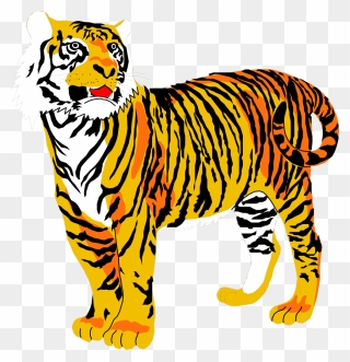 Tigers Free Stock Photo - Tiger Clipart Transparent Background - Png Download