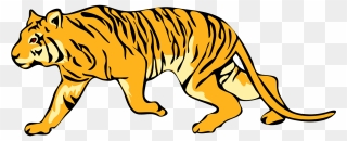 Transparent Tiger Transparent Png - Carnivore Clipart