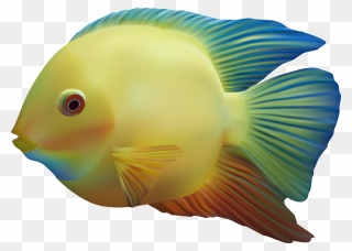 Colors Clipart Fish - Transparent Background Ocean Fish Png