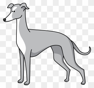 Greyhound Clipart - Png Download