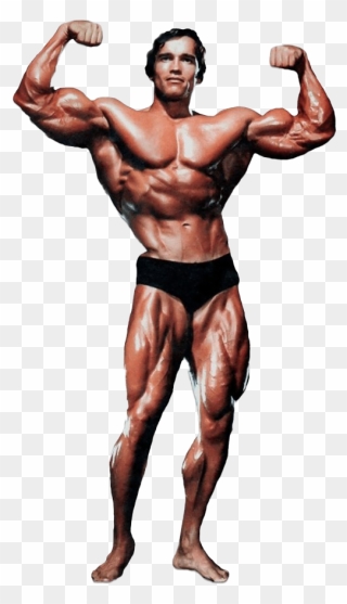 Arnold Schwarzenegger Bodybuilding Png Clipart - Arnold Schwarzenegger Png Transparent Png
