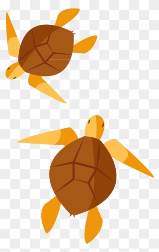 Turtle Clip Art - Turtles - Png Download