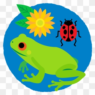 Frog, Ladybug And Flower In A Circle - Biodiversity Pictures For Kids Clipart