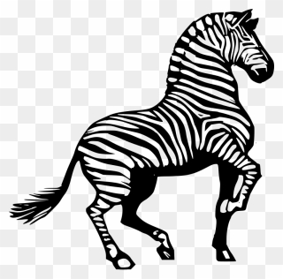 Black And White Zebra Clipart - Png Download