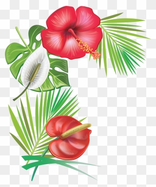 Caribbean Flowers Png Clipart