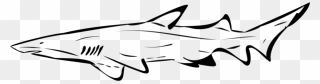 Fish Stencils - Stencils Shark Clipart