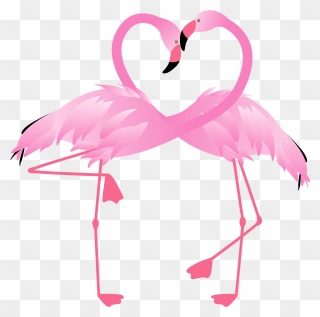 Greater Flamingo Clipart