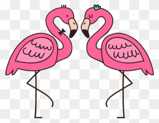 #flamingo #flamingos #birds #bird - Greater Flamingo Clipart