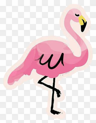 #flamingo #pink #summer #summertime #tropical#sticker - Cartoon Clipart