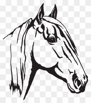 Free Free Appaloosa Horse Svg SVG PNG EPS DXF File