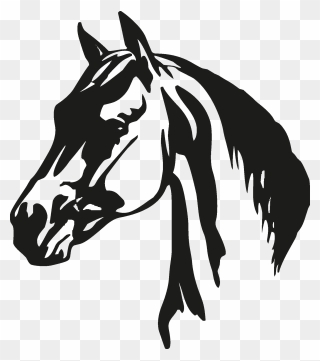 Horse Head Silhouette - Horse Head Black And White Clipart