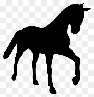 Horse Young Black Silhouette In Perspective Comments Clipart
